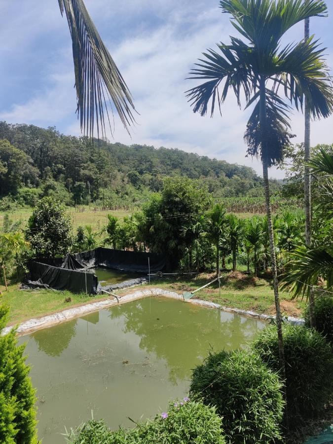 Homestay Exoticaholidays Sultan Bathery